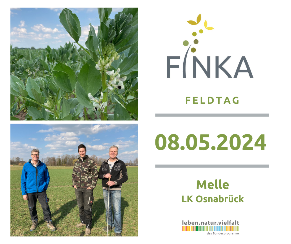 20240508 FINKA Osnabrck Kachel
